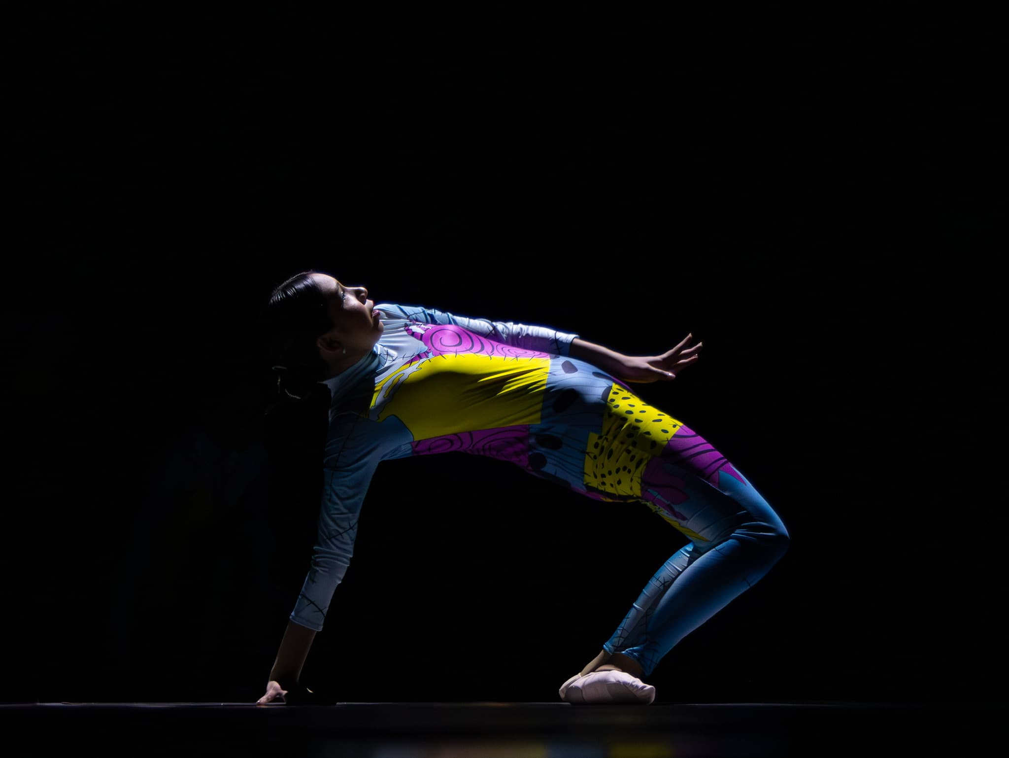 Presentacion artistica